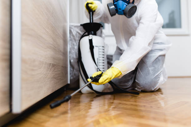 Best Best Pest Control Companies  in Greenwood, AR