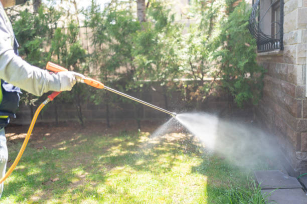 Professional Pest Control in Greenwood, AR