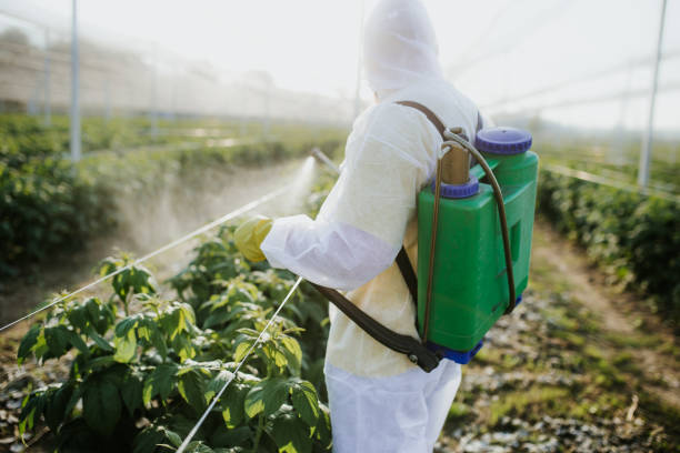 Best Insect Control  in Greenwood, AR
